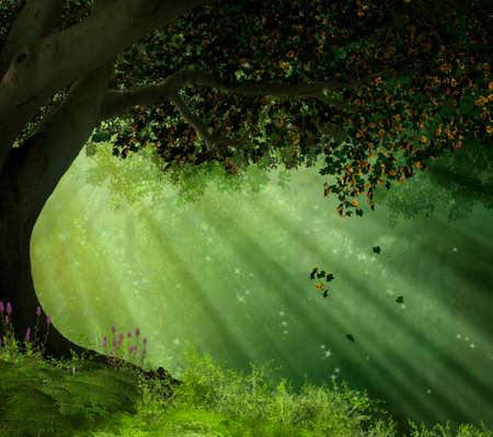 an old tree in a forest with rays of lights illuminating the sceneの写真素材