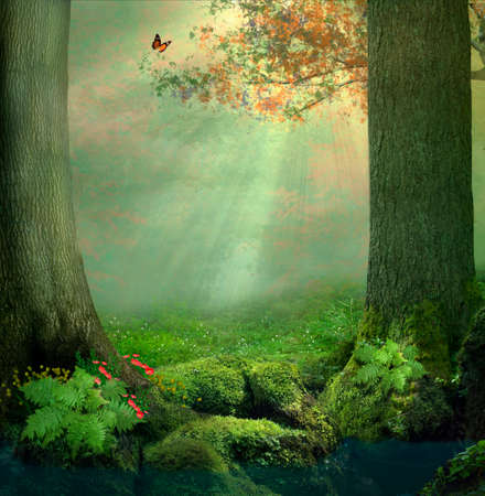 A pond and two big trees in the forest in a beautiful day with rays of lights between the leavesの写真素材