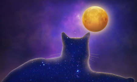 cosmic cat looking at the brilliant full moon. 3D. illustrationの写真素材