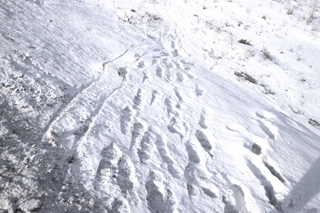 Snow-slide from the roadの写真素材