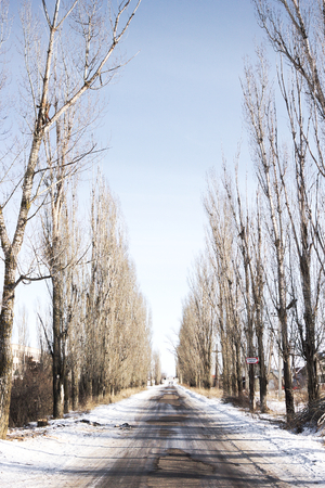 Warm sunny winter dayの写真素材