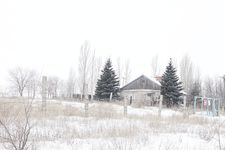 Winter landscape in bright lightの写真素材