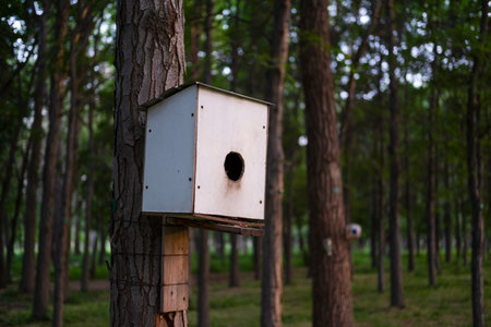 Beautiful birdhouse on a tree for birds.の写真素材