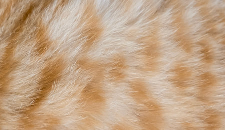 Background of red wool with patterns.の写真素材