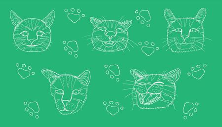 line sketch of different element cute cat head and footprint. vector illustration eps10のイラスト素材