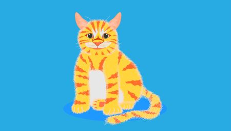 cat looking something and sitting on pastel blue color background. vector illustration eps10のイラスト素材