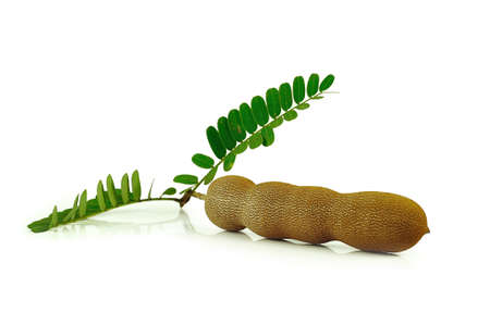 tamarind isolated on white backgroundの写真素材