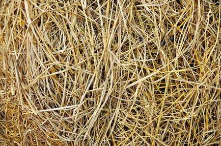 rice straw farm background