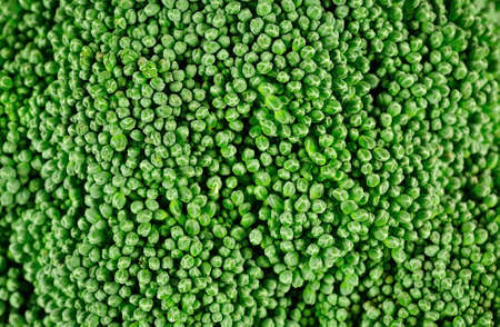 Broccoli close up for backgroundの写真素材