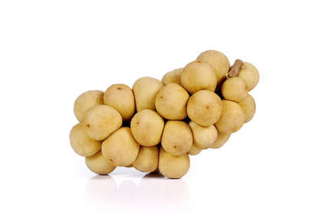 Southern Langsat Thai fruits close up isolated on white backgroundの写真素材