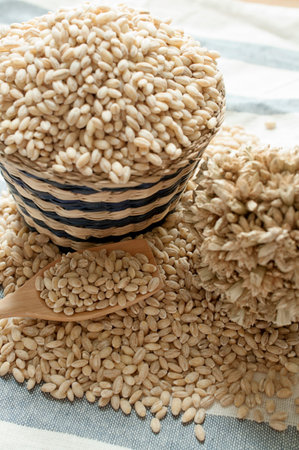 pearls barley grain seed on background