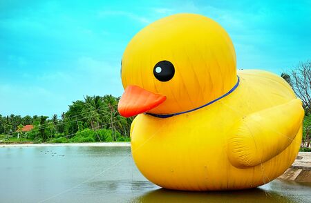 Duck bird at lake river backgroundの写真素材