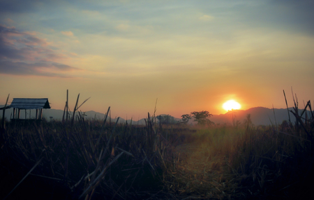 grass field outdoor by countryside for backgroundの写真素材