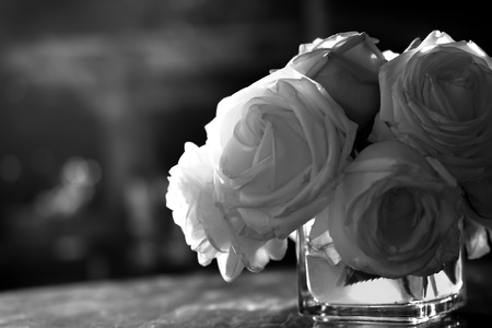 rose flowers close up on background.の写真素材