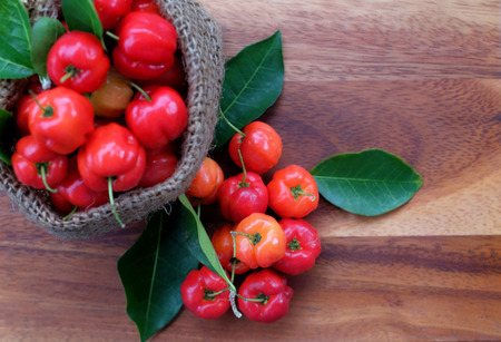 Acerola fruit close up on backgroundの写真素材