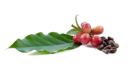 Coffee beans close up on backgroundの写真素材