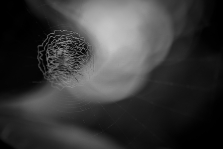 Spider web close up on background.の写真素材