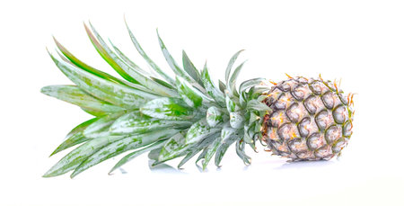 pineapple close up on white background