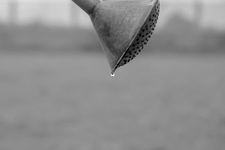 water drops on leaf in fresh garden.の写真素材