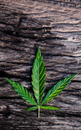 marijuana joint weed smoking close up on backgroundの写真素材