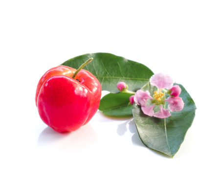 Acerola fruit close up on backgroundの写真素材