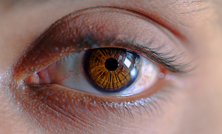 brown eye close up on background.の写真素材