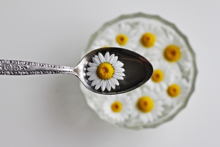 springs dietの写真素材