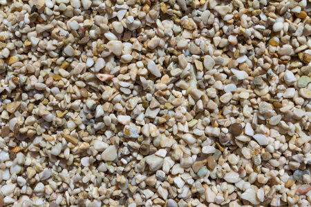 Wet stones on a beach. Texture.