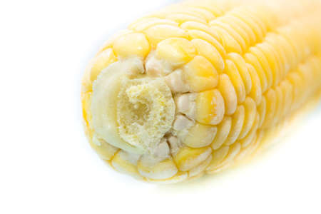 Macro view of frozen cob of corn. Closeup. Shallow depth of field.の写真素材
