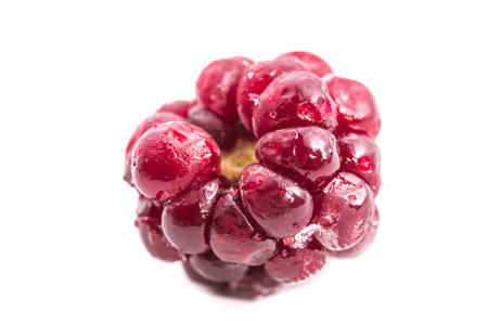 One unfrozen blackberry. Macro. Isolated. White background.