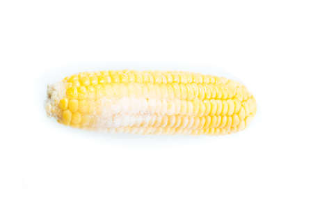 Frozen cob of corn. Isolated. Horizontal view. White background. Shallow depth of field.の写真素材