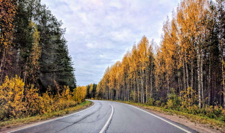 Road in Autumn woods with colorful foliage tree. Autumn forest on highwayの写真素材