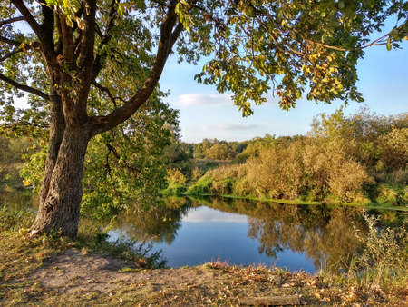 Beautiful autumn forest park near Nizhny Novgorod city, Russia. View of lake with autumn treeの写真素材
