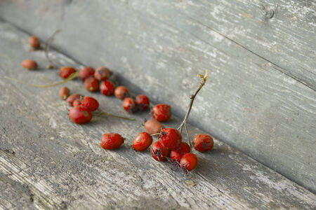 Desiccated orange berries on wooden tableの写真素材
