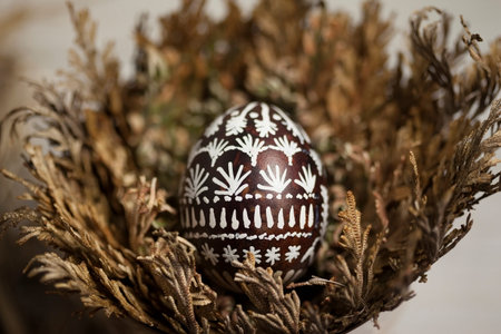 Easter egg in Jericho roseの写真素材