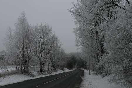 Snowy curvey road to the forest in winter in Lithuania. Landscapeの写真素材