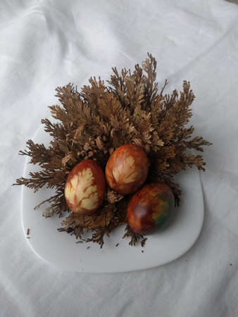 Three colourful painted and decorated Easter eggs on a white plate with jericho rose on a white cloth backgroundの写真素材