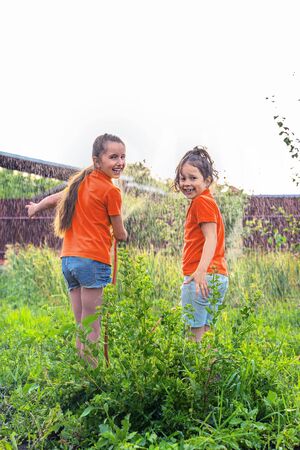 children in the summer water the garden from under the hoses. water splashesの写真素材