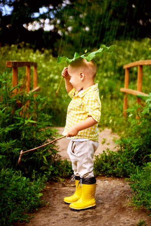 a little boy is sitting in the rain and is covered with burdock.の写真素材