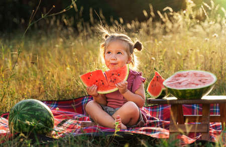 a little funny girl on a summer picnic eats a red ripe delicious juicy watermelonの写真素材