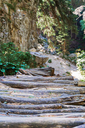 log bridge in the mountains across the stream from the waterfall.の写真素材