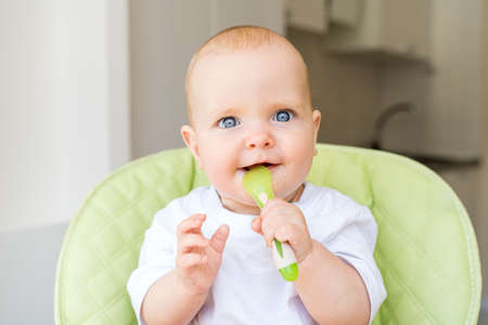 a small child with blue eyes and blond hair sits in a high chair and eats the first bait. Healthy diet. Baby 6 monthsの写真素材