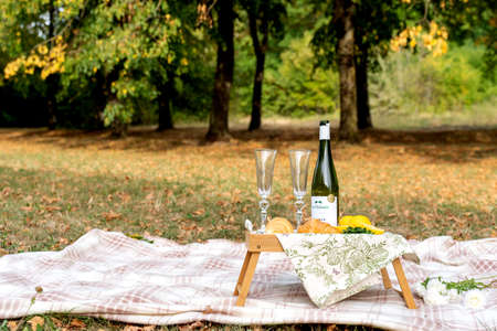 wooden tray with croissants and wine on a picnic.の写真素材