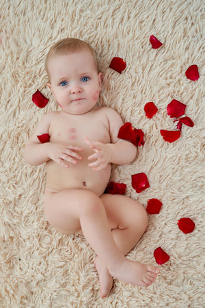 A small child lies on the back and pulls his legs and hands up. Kid on a white veil in rose petals.の写真素材