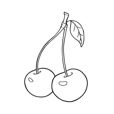 Cherry. Illustration for the coloring book pages.のイラスト素材