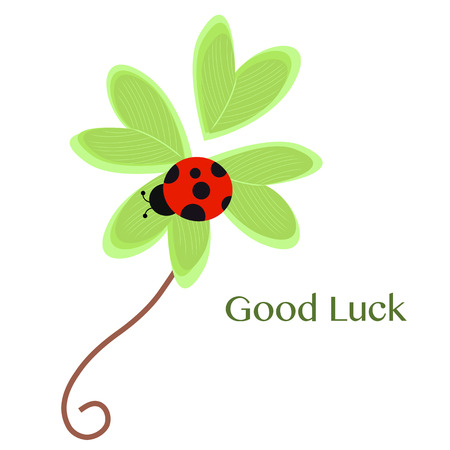 Good Luck greeting card with clover and ladybird vectorのイラスト素材