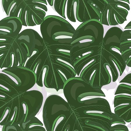 Tropical colorful monstera leaves background. Hand drawn tropic leaf repeated patternのイラスト素材