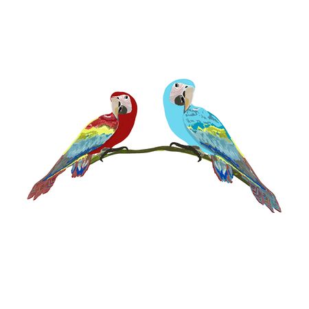 Parrot bird hand drawn isolated illustrationのイラスト素材