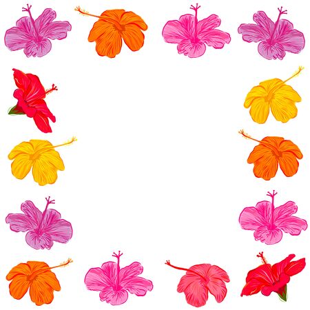 Beautiful summer time exotic frame with hand drawn colorful hibiscus vector illustration summer backgroundのイラスト素材