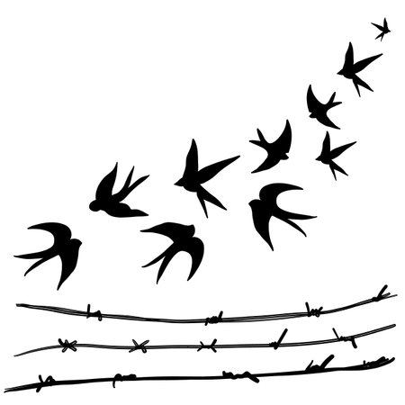 Flock swallows birds black silhouette on white backgroundのイラスト素材